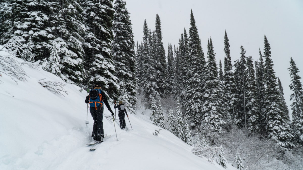 two skiers heading up the uptrack leading to ursus minor trees