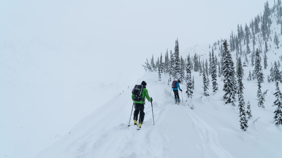 skiers touring up terrain at treeline with close to no visibility