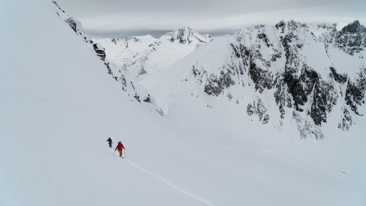 two skiers ascending the avalanche north glacier