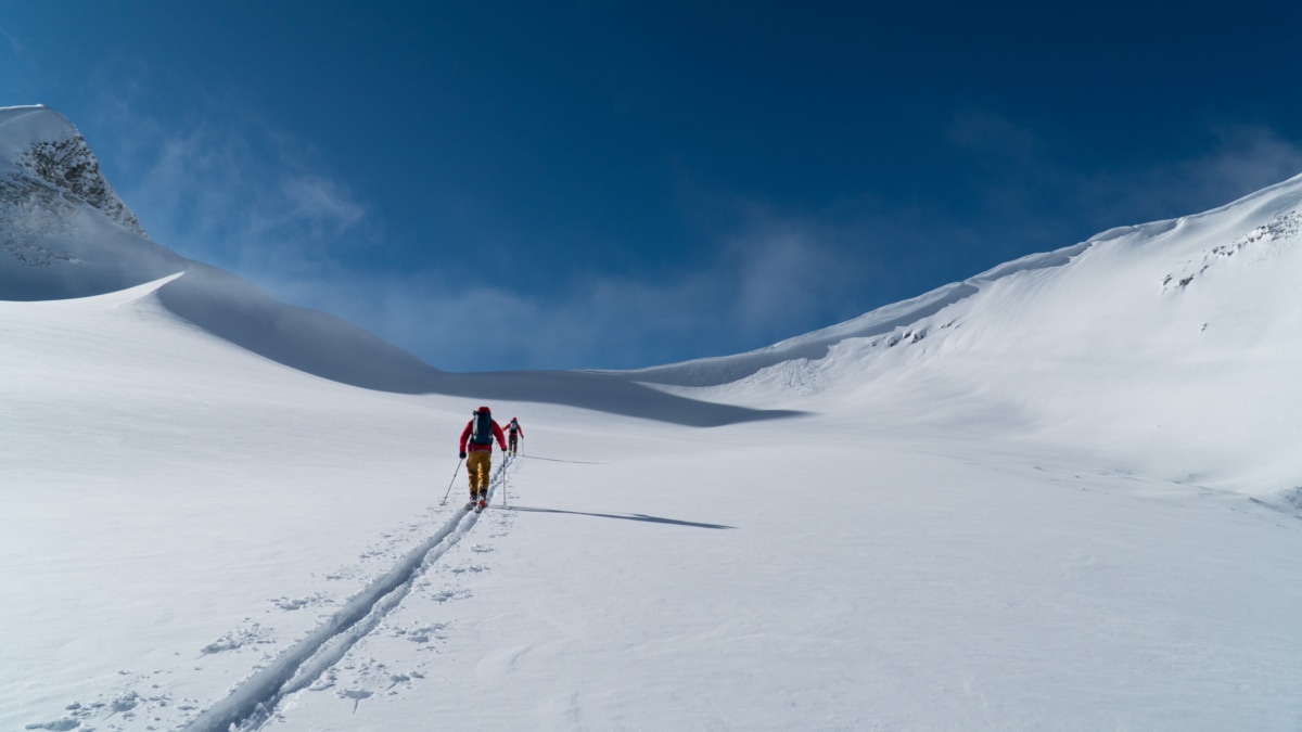 two skiers walking on the sifton glacier towards the west col in the winter