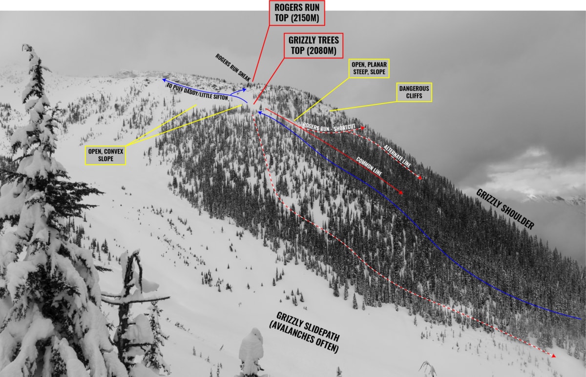 overview of grizzly shoulder with overlay 01