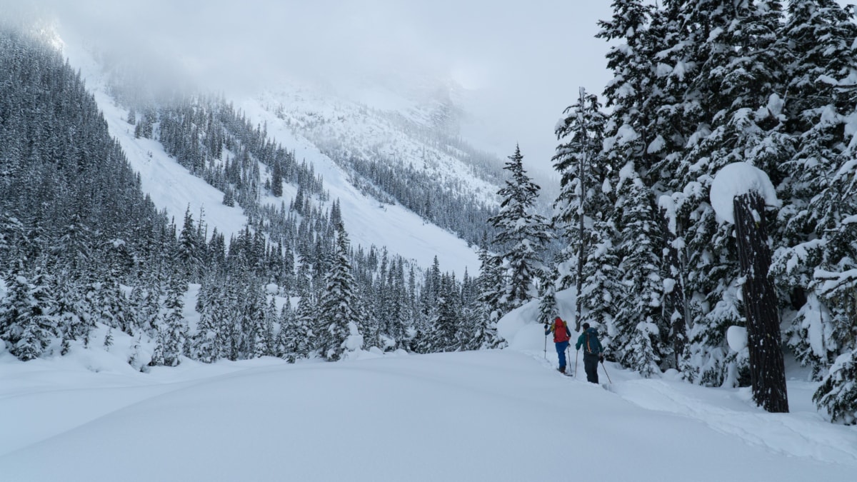 two ski tourers heading up the great glacier trail in winter