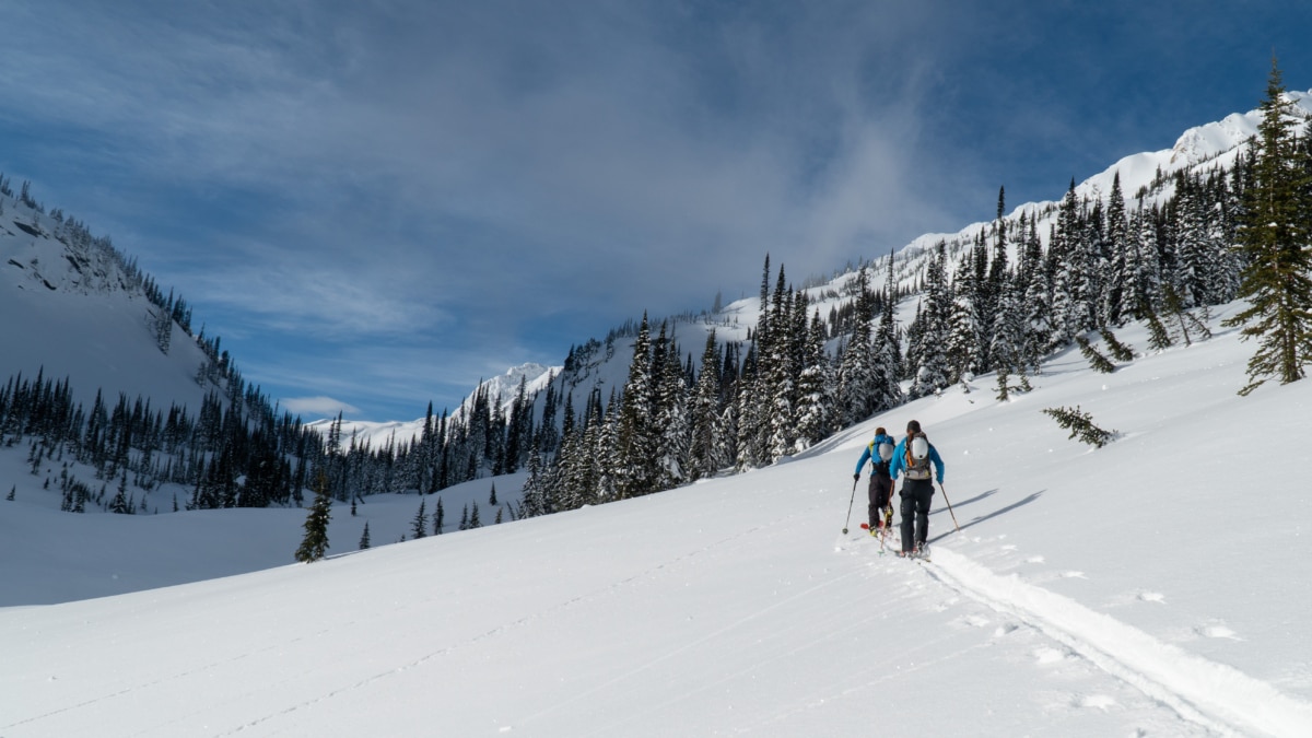 two ski tourers walking along cougar brook