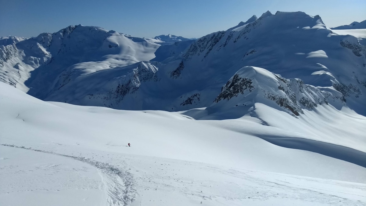 man skiing down the dismal glacier