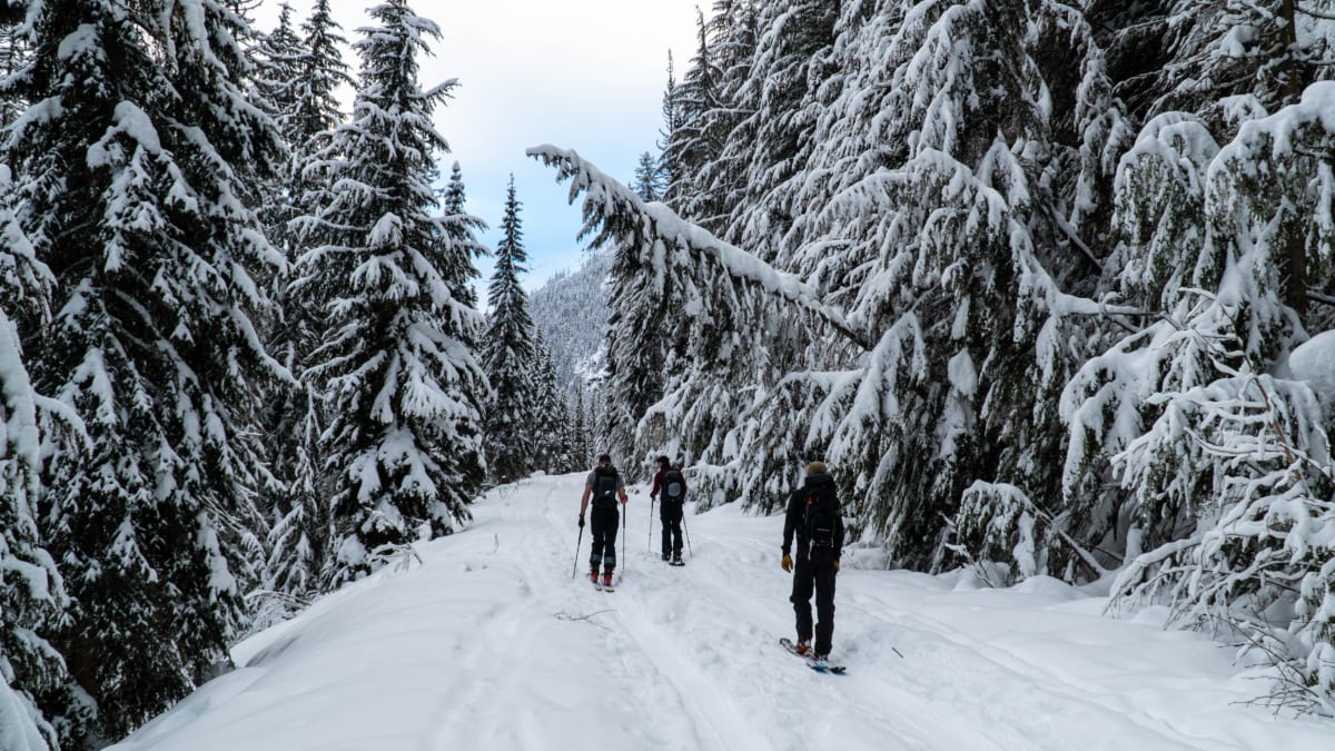 group of skiers touring across the rail grade to asulkan